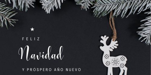 ¡Feliz Navidad y Próspero Año Nuevo!